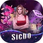 dm999 Slot Bonus Free Spin VIP Cashback မြန်မာ